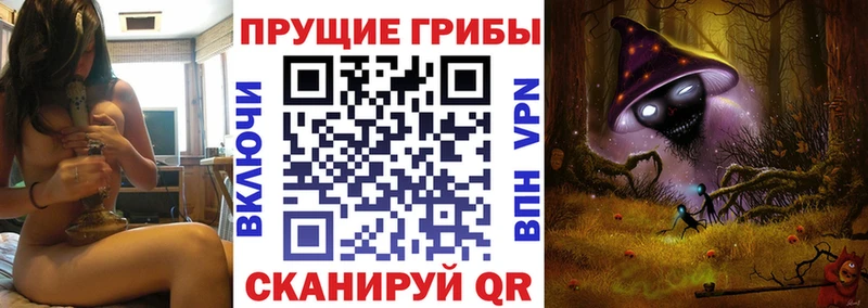 Псилоцибиновые грибы Magic Shrooms  купить наркотики сайты  Верхний Тагил 